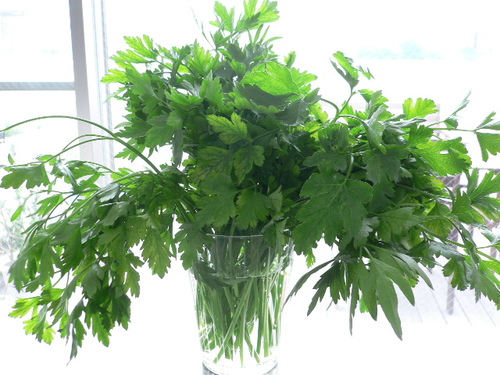 prezzemolo marzo.JPG